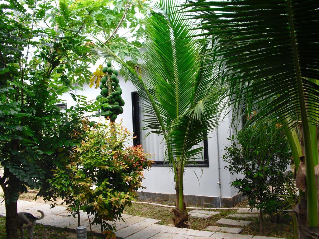 Van Nguyen Minihouse Villa Phan Thiet Dış mekan fotoğraf